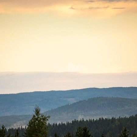 Langroesta; Ruime Blokhut Grenzend Aan Bos Villa Hagfors Buitenkant foto