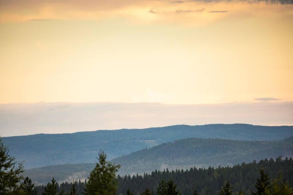 Langroesta; Ruime Blokhut Grenzend Aan Bos Villa Hagfors Buitenkant foto