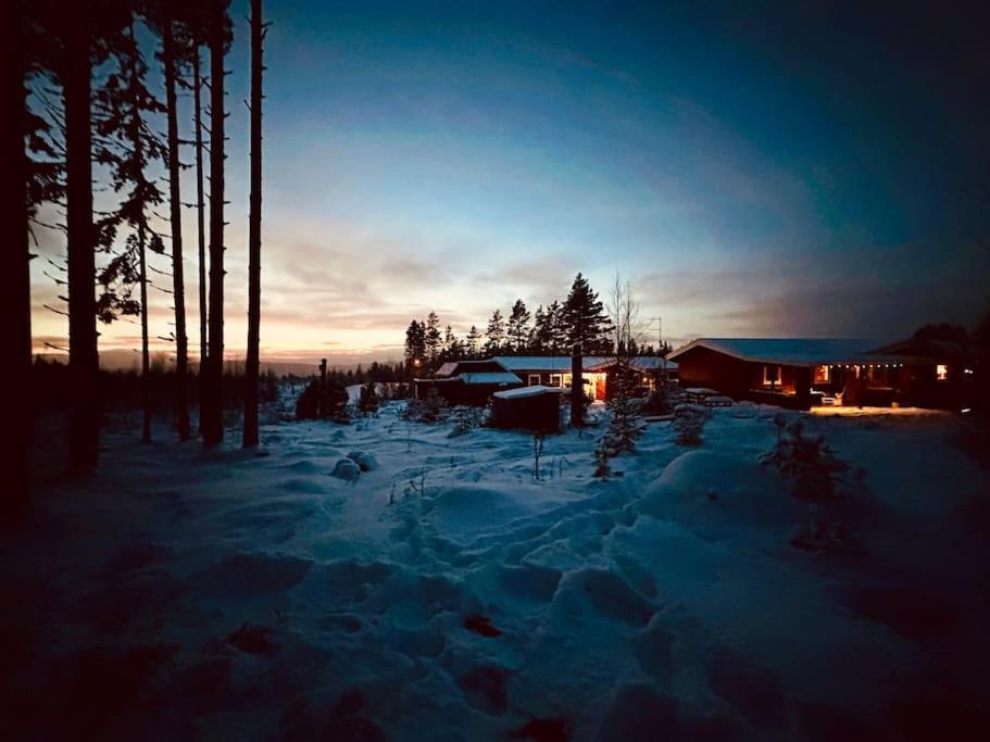 Langroesta; Ruime Blokhut Grenzend Aan Bos Villa Hagfors Buitenkant foto