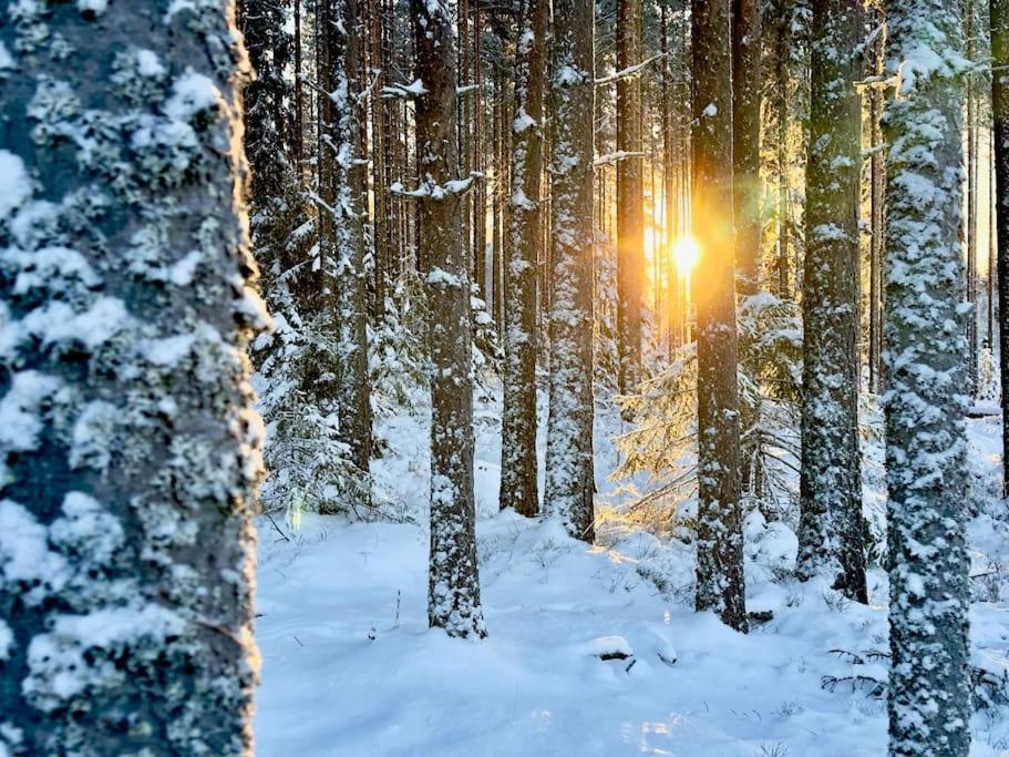 Langroesta; Ruime Blokhut Grenzend Aan Bos Villa Hagfors Buitenkant foto